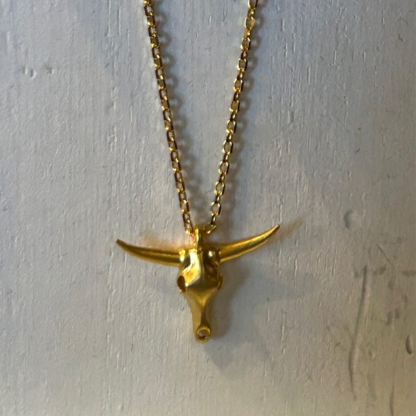 Longhorn necklace