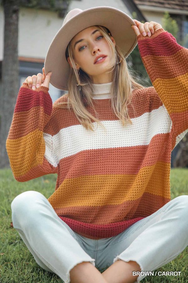 Multicolored Knit